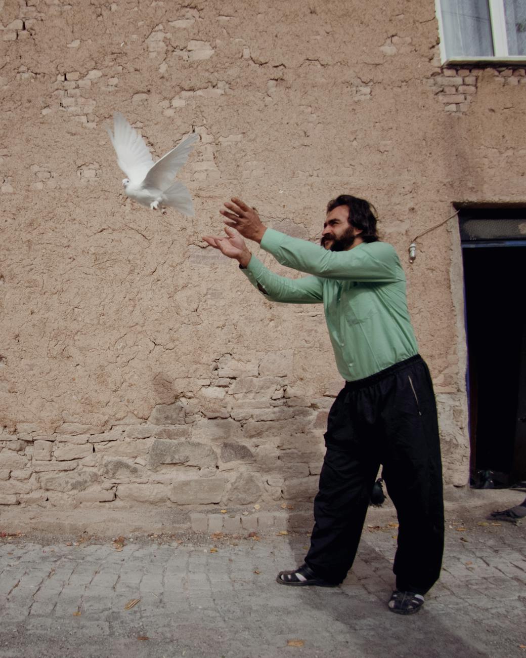 man with white pigeon in town