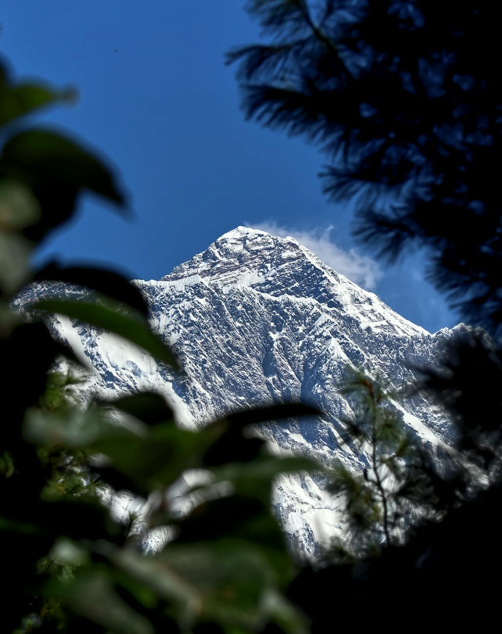 stunning view of mount everest in nepal