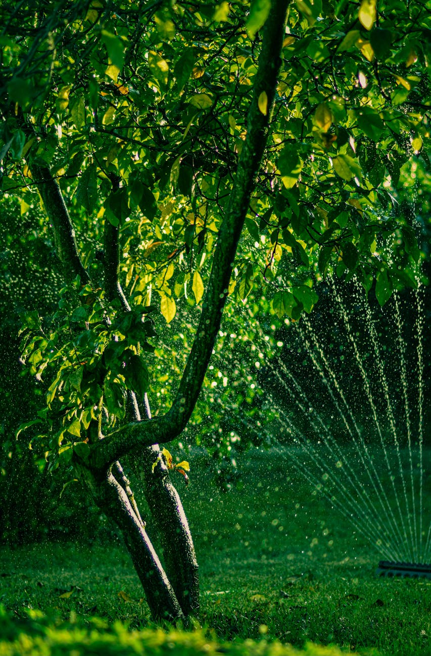 a water sprinkler on green grass near the green trees